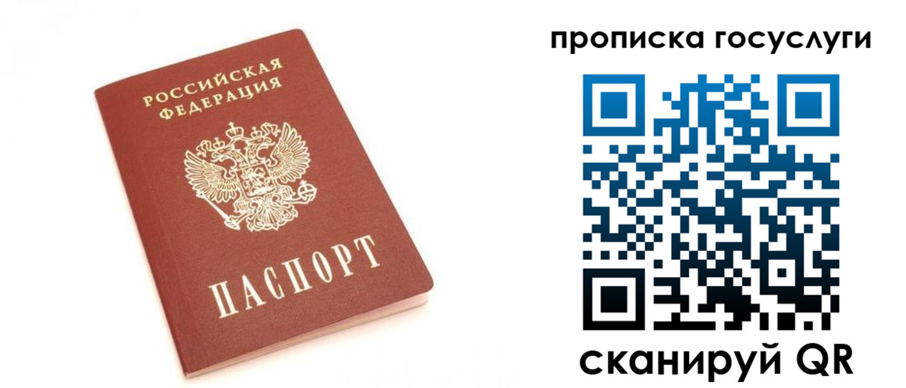 прописка штамп в Звенигороде